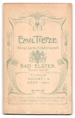 Fotografie Emil Tietze, Bad Elster, Portrait dunkelhaariges Fräulein mit Dutt