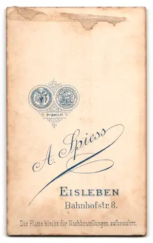 Fotografie A. Spiess, Eisleben, Bahnhofstr. 8, Portrait brünette Schönheit im gerüschten Kleid