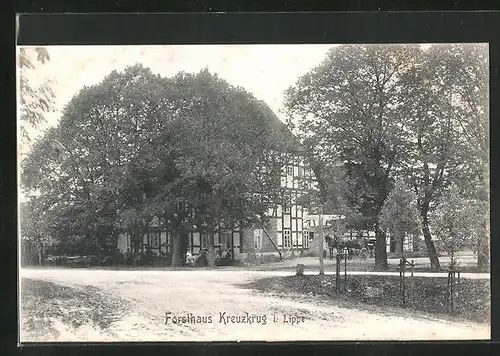 AK Schlangen / Lippe, Gasthaus Forsthaus Kreuzkrug