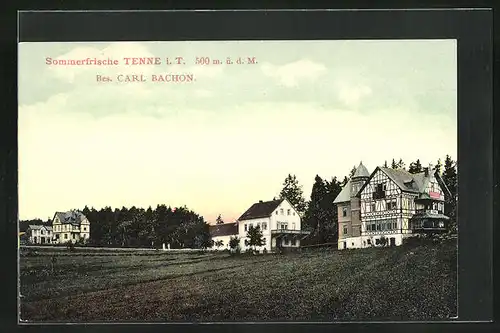 AK Tenne / Taunus, Teilansicht mit Hotel von Carl Bachon