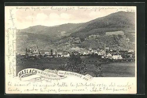 AK Haslach / Kinzigthal, Blick vom Bächlenwald