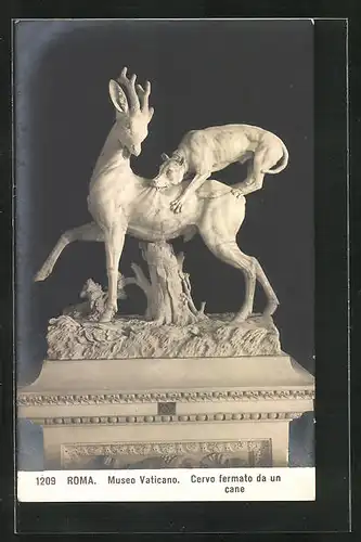 AK Roma, Museo Vaticano, Skulptur Cervo fermato da un cane