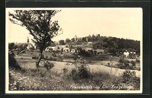 AK Frauenstein / Erzgebirge, Ortspanorama