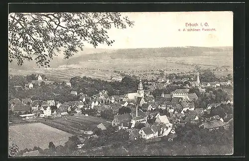 AK Erbach i. Odenwald, Gesamtansicht von der schönen Aussicht