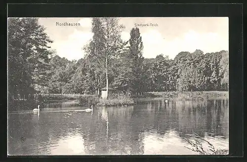 AK Nordhausen, Partie am Teich im Stadtpark