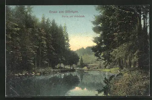 AK Böhrigen, Partie am Wehrteich