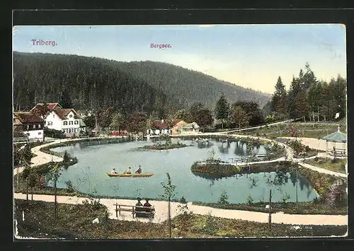 AK Triberg, Blick auf den Bergsee