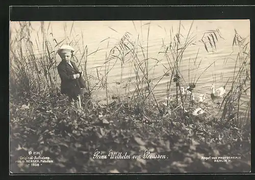 AK Prinz Wilhelm von Preussen, Füttern der Enten am Ufer
