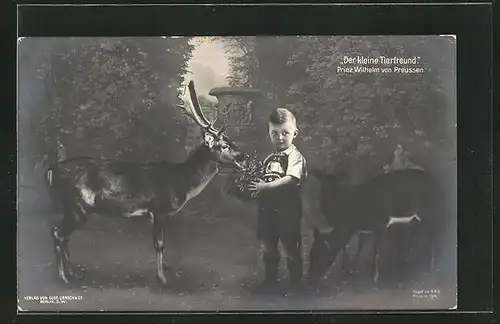 AK Prinz Wilhelm von Preussen, der kleine Tierfreund füttert einen Hirsch
