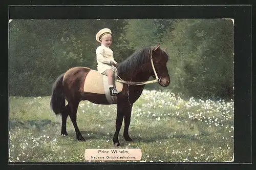 AK Prinz Wilhelm von Preussen, Ausritt mit Pony auf einer Wiese