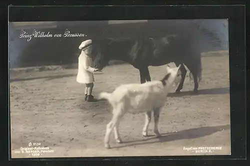 AK Prinz Wilhelm von Preussen, Füttern des Ponys