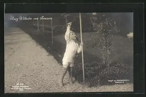 AK Prinz Wilhelm von Preussen, der Junge Monarch im Garten beim Spielen