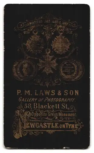 Fotografie P.M. Laws & Son, Newcastle, 38 Blackett St., Portrait Herr mit Vollbart