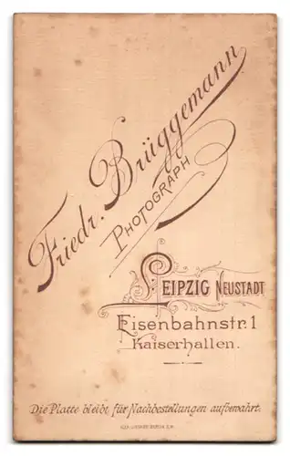 Fotografie Friedr. Brüggemann, Leipzig, Eisenbahnstr. 1, Portrait junge Dame im edlen Kleid und Brosche