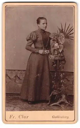Fotografie Fr. Clar, Gablenberg, Portrait bildschönes Fräulein im prachtvollen Kleid