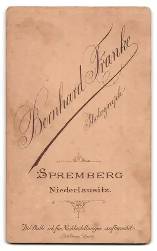 Fotografie Bernhard Franke, Sprembreg, elegante bürgerliche Dame mit Bildleporello