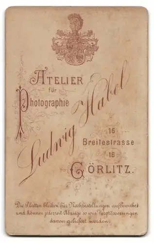 Fotografie Ludwig Habel, Görlitz, Breitestrasse 16, Portrait grimmiger Junge mit Brille