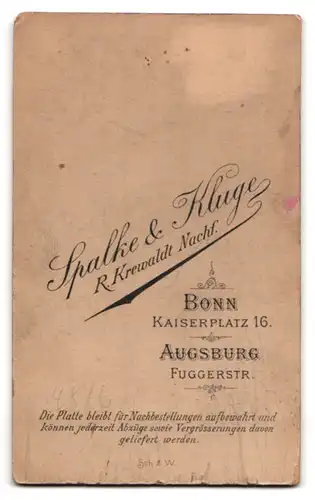 Fotografie Spalke & Kluge, Bonn, Kaiserplatz 16, Portrait junger Mann im Anzug mit Krawatte