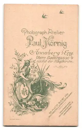 Fotografie Paul Körnig, Annaberg i / Erzg., Obere Badergasse 4, Portrait halbwüchsiger Knabe im Anzug mit Buch