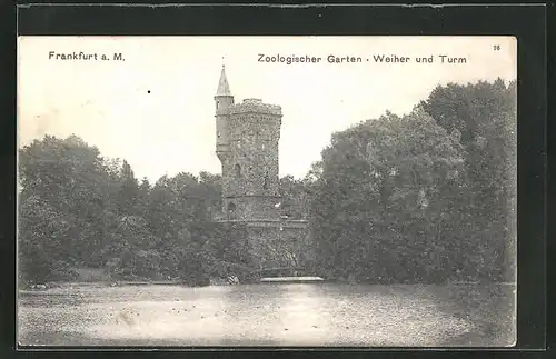AK Frankfurt a. M., Zoologischer Garten, Weiher und Turm
