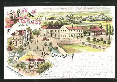 Lithographie Bad Oppelsdorf, Hotel Villa Schröter, Albertbad