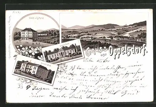 Lithographie Bad Oppelsdorf, Hotel zum Curhaus, Carolabad, Ortsansicht