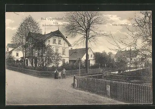 AK Bad Oppelsdorf, Villa Schweizerschlösschen und Villa Edelweiss