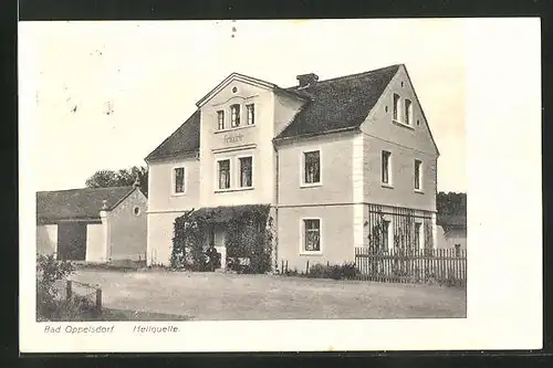 AK Bad Oppelsdorf, Heilquelle