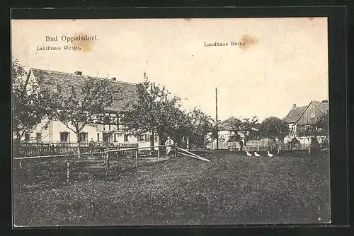 AK Bad Oppelsdorf, Landhaus Wespi, Landhaus Rothe