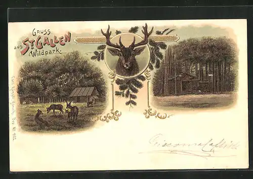 Lithographie St. Gallen, Rehe im Wildpark