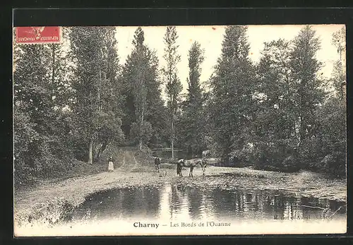 AK Charny, Les Bords de l`Ouanne