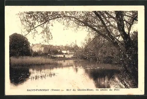 AK Saint-Fargeau, Bief du Moulin-Blanc en amont du Pont