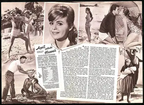 Filmprogramm IFB Nr. 5761, April entdeckt Hawaii, James Darren, Michael Callan, Carl Reiner, Regie Paul Wendkos