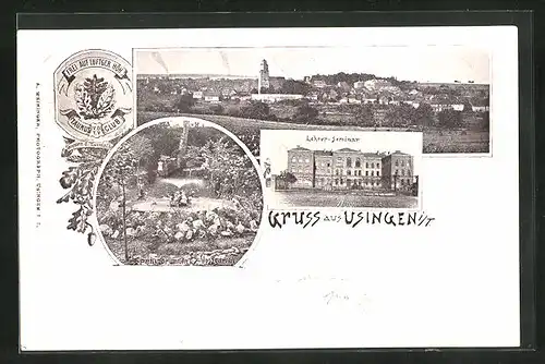 AK Usingen / Taunus, Springbrunnen im Schlossgarten, Lehrer-Seminar, Panorama
