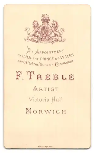 Fotografie F. Treble, Norwich, Victoria Hall, Portrait junge Frau mit Dutt in dunkler Bluse