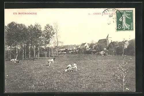 AK Cheny, Dans la prairie