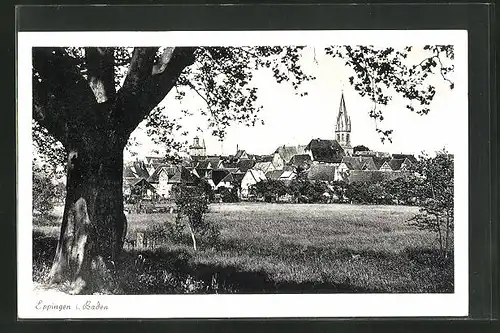 AK Eppingen i. Baden, Gesamtansicht mit Kirchturm aus dem Walde