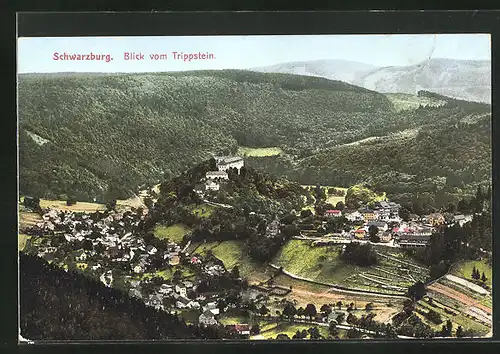 AK Schwarzburg /Thür., Blick vom Trippstein