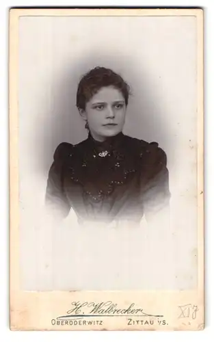 Fotografie H. Walbrecker, Zittau i /S., Theodor Körner Allee, Portrait junge Dame im bestickten Kleid
