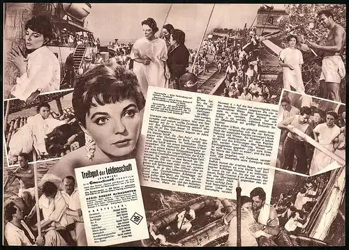 Filmprogramm IFB Nr. 3861, Treibgut der Leidenschaft, Richard Burton, Joan Collins, Regie: Robert McNaughton