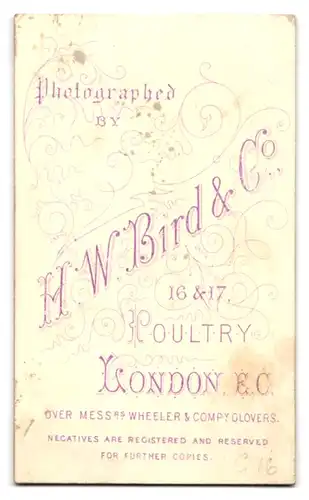 Fotografie H. W. Bird & Co., London-EC, 16 & 17, Poultry, Portrait bürgerliche Dame mit Kragenbrosche