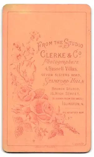 Fotografie Clerke & Co., Stamford Hill, Seven Sister Road, Frau im Portrait