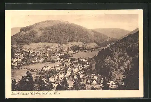 AK Calmbach a. Enz, Ortsansicht aus der Vogelschau