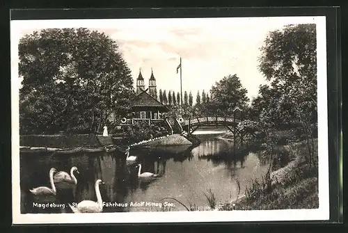 AK Magdeburg, Stadtpark, Fährhaus Adolf Mittag See