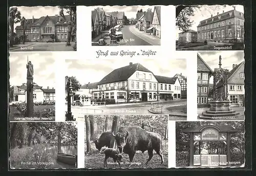 AK Springe a. Deister, Hotel Friese, Jagdschloss, Bahnhof