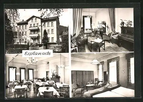 AK Bad Harzburg, Hotel-Pension Esplanade, Innenansicht vom Speiseraum