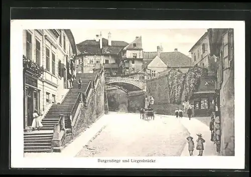 AK Hermanstadt, Burgstiege und Liegenbrücke