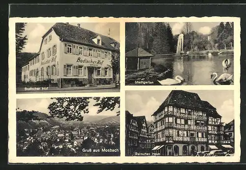 AK Mosbach /Baden, Hotel Badischer Hof, Stadtgarten mit Schwänen, Palmches Haus