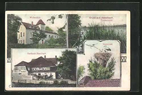 AK Haselbach, Gasthaus, Walkmühle, Storchnest