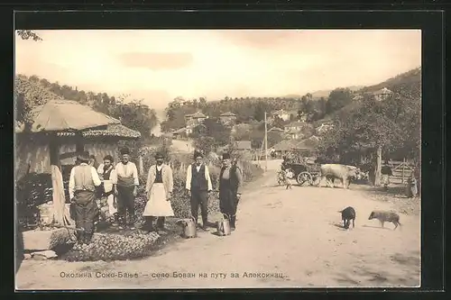 AK Sokobanja, Dorfstrasse, Schweine